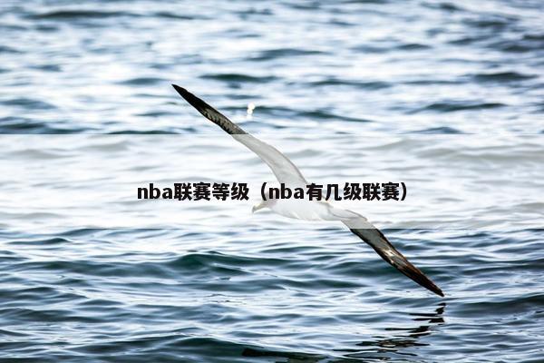 nba联赛等级（nba有几级联赛）