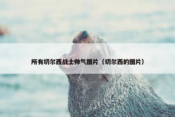 所有切尔西战士帅气图片（切尔西的图片）