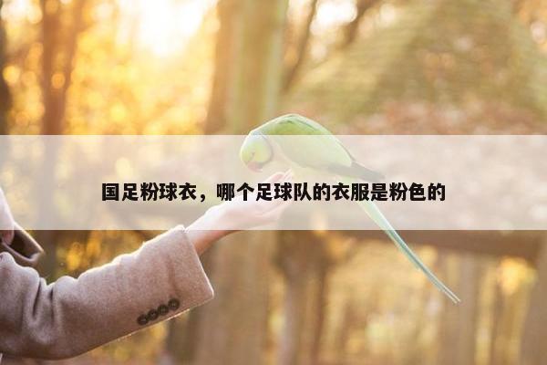 国足粉球衣，哪个足球队的衣服是粉色的