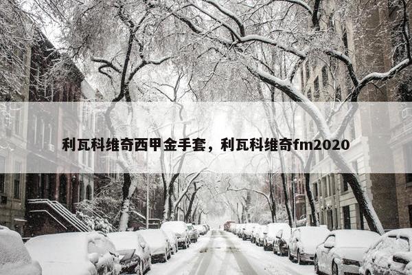 利瓦科维奇西甲金手套，利瓦科维奇fm2020