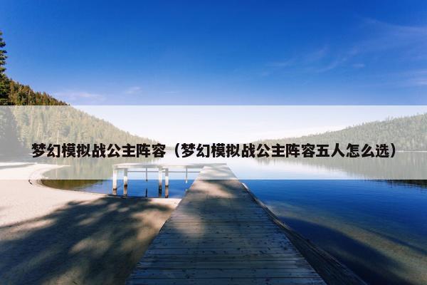 梦幻模拟战公主阵容（梦幻模拟战公主阵容五人怎么选）