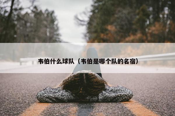 韦伯什么球队（韦伯是哪个队的名宿）