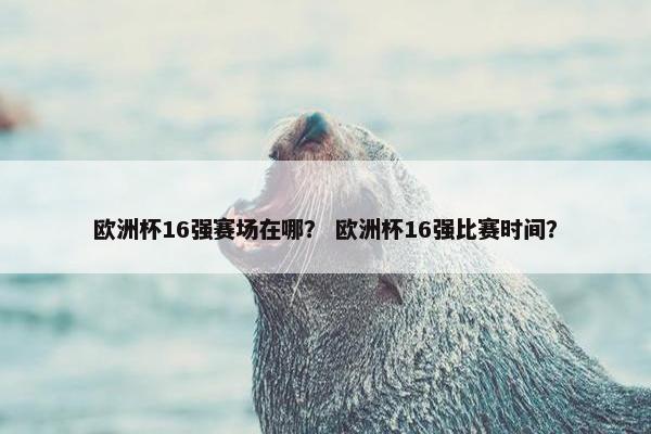 欧洲杯16强赛场在哪？ 欧洲杯16强比赛时间？