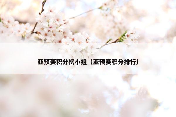 亚预赛积分榜小组（亚预赛积分排行）