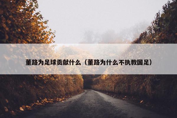 董路为足球贡献什么（董路为什么不执教国足）
