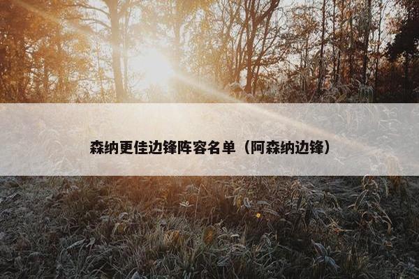 森纳更佳边锋阵容名单（阿森纳边锋）