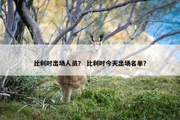 比利时出场人员？ 比利时今天出场名单？