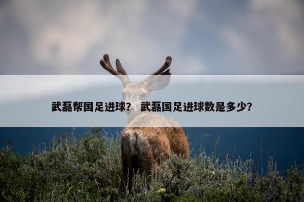 武磊帮国足进球？ 武磊国足进球数是多少？