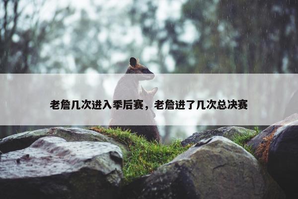 老詹几次进入季后赛，老詹进了几次总决赛