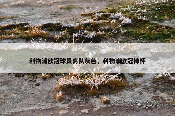 利物浦欧冠球员离队灰色，利物浦欧冠捧杯