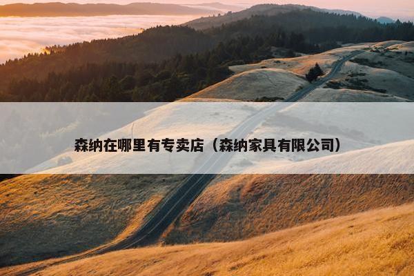 森纳在哪里有专卖店（森纳家具有限公司）