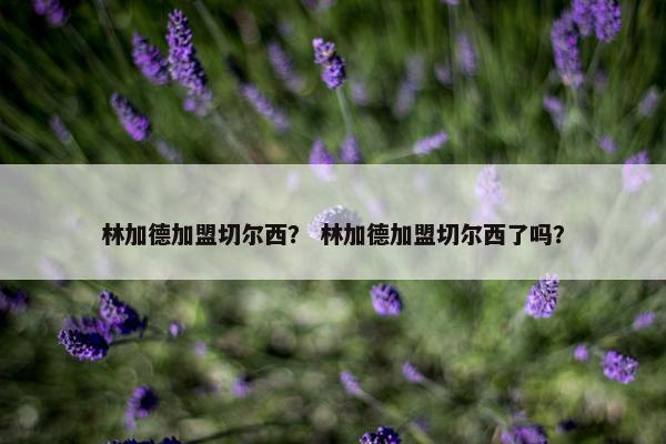 林加德加盟切尔西？ 林加德加盟切尔西了吗？