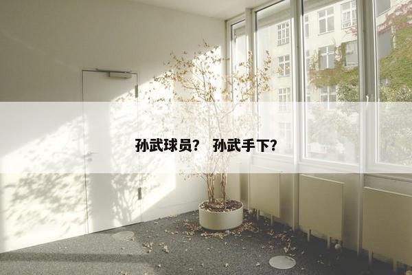 孙武球员？ 孙武手下？