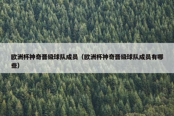 欧洲杯神奇晋级球队成员（欧洲杯神奇晋级球队成员有哪些）