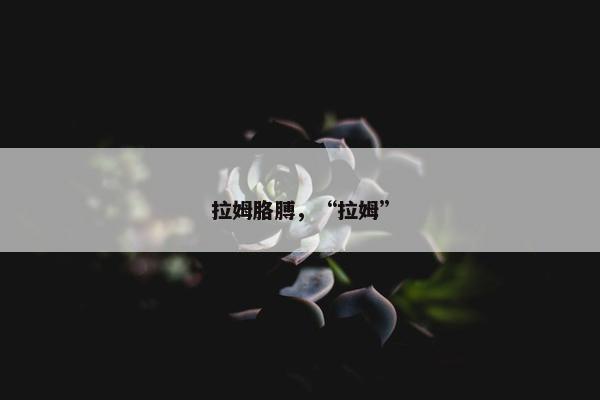 拉姆胳膊，“拉姆”