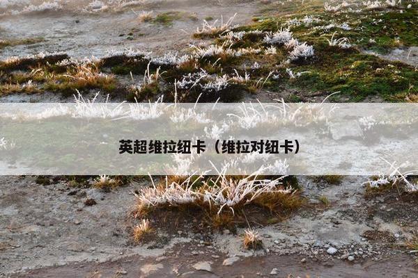英超维拉纽卡（维拉对纽卡）