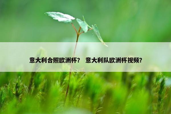 意大利合照欧洲杯？ 意大利队欧洲杯视频？