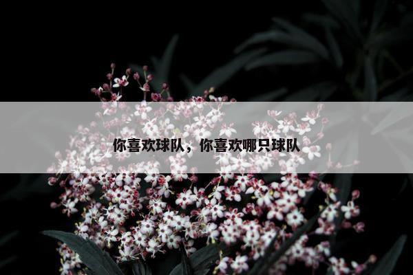 你喜欢球队，你喜欢哪只球队