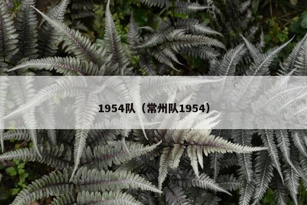 1954队（常州队1954）