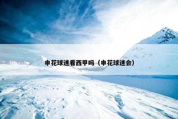 申花球迷看西甲吗（申花球迷会）