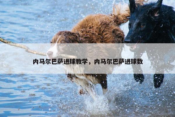 内马尔巴萨进球教学，内马尔巴萨进球数