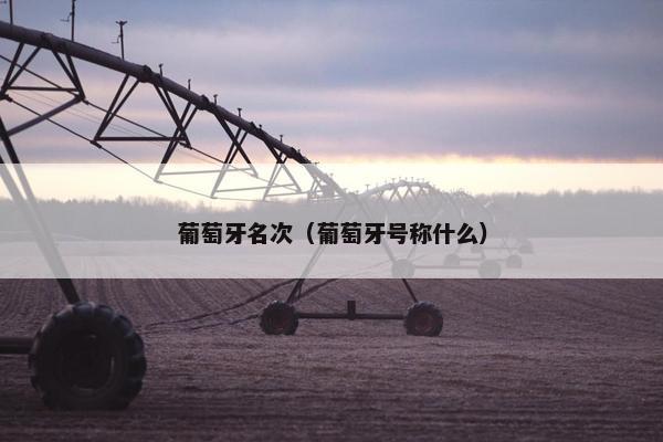 葡萄牙名次（葡萄牙号称什么）