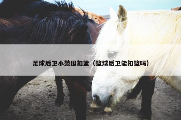 足球后卫小范围扣篮（篮球后卫能扣篮吗）