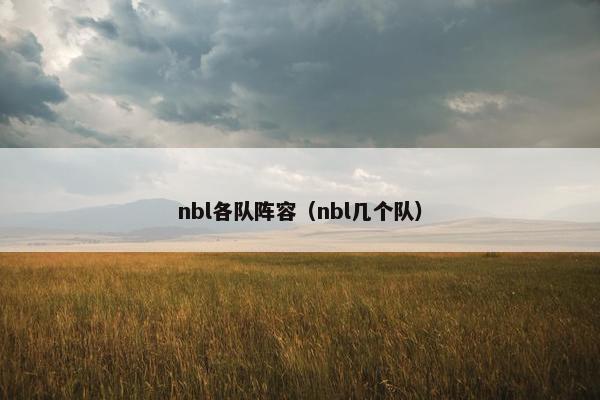 nbl各队阵容（nbl几个队）