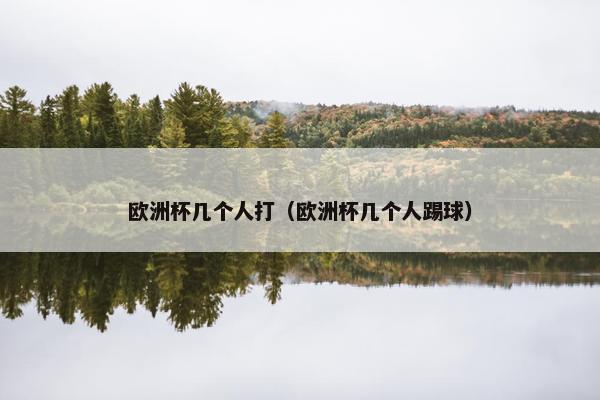 欧洲杯几个人打（欧洲杯几个人踢球）