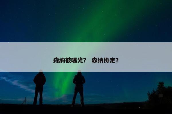 森纳被曝光？ 森纳协定？