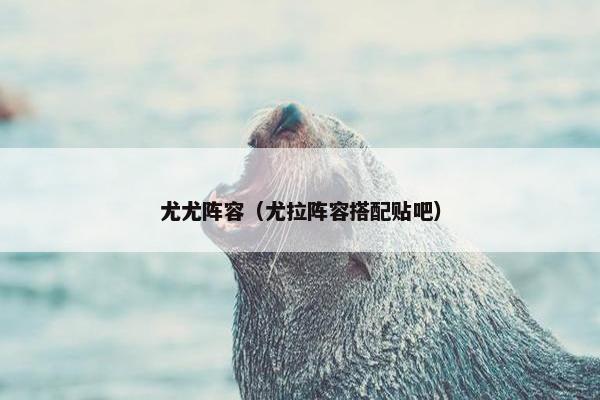 尤尤阵容（尤拉阵容搭配贴吧）