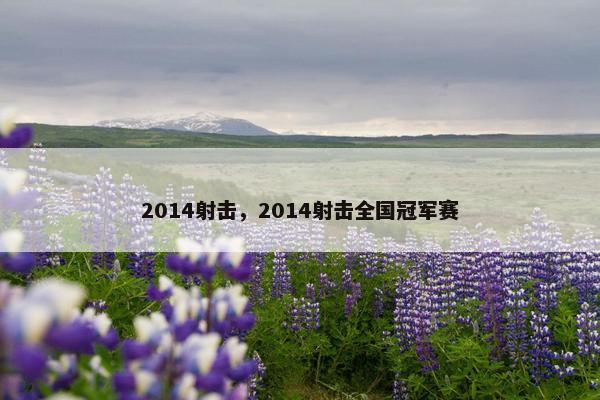 2014射击，2014射击全国冠军赛