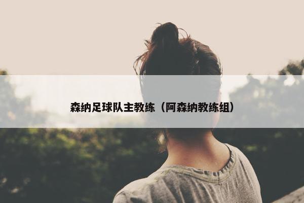 森纳足球队主教练（阿森纳教练组）