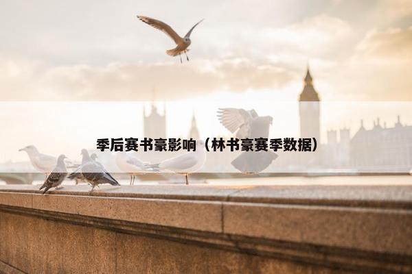 季后赛书豪影响（林书豪赛季数据）