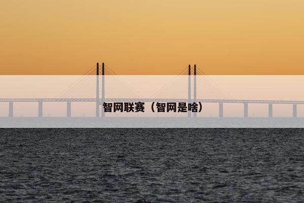 智网联赛（智网是啥）