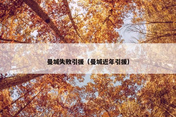 曼城失败引援（曼城近年引援）