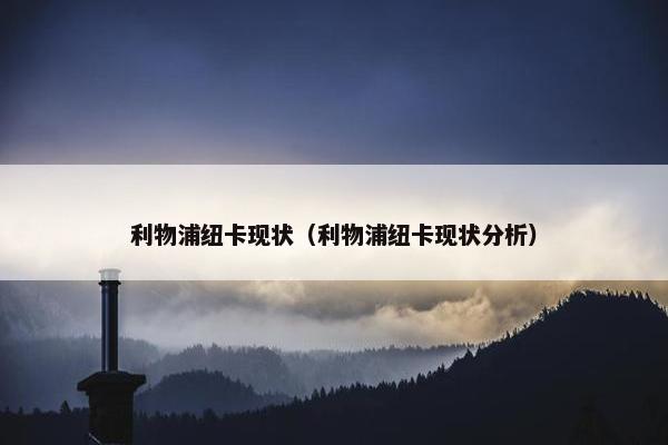 利物浦纽卡现状（利物浦纽卡现状分析）