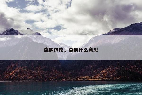 森纳进攻，森纳什么意思