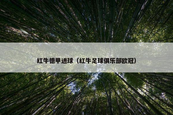 红牛德甲进球（红牛足球俱乐部欧冠）
