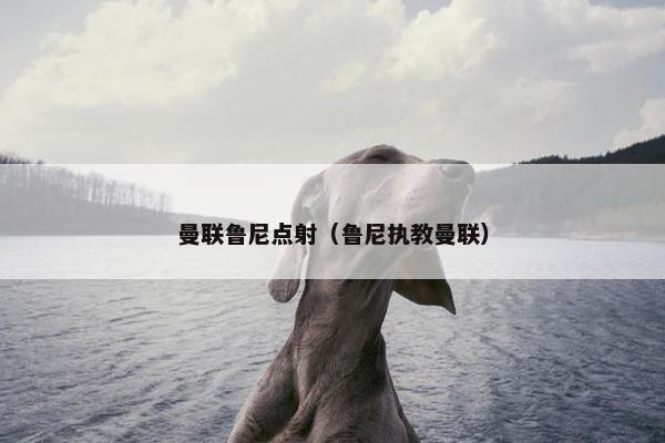 曼联鲁尼点射（鲁尼执教曼联）
