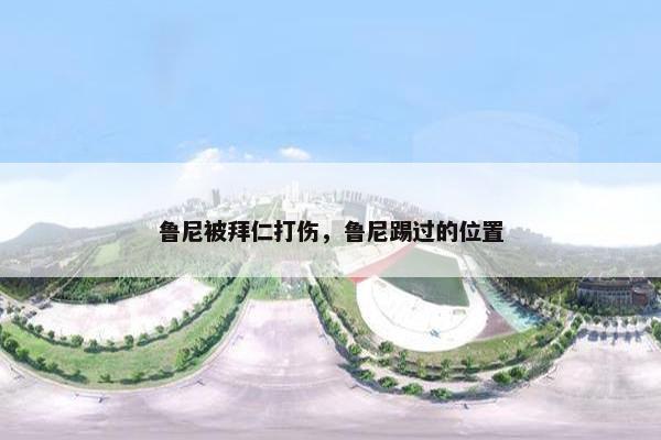 鲁尼被拜仁打伤，鲁尼踢过的位置
