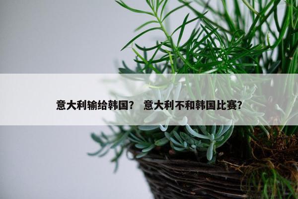 意大利输给韩国？ 意大利不和韩国比赛？