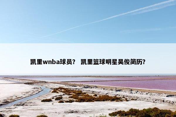 凯里wnba球员？ 凯里篮球明星吴俊简历？