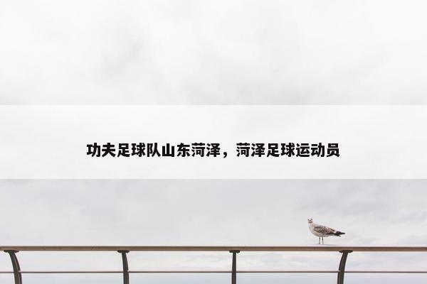 功夫足球队山东菏泽，菏泽足球运动员
