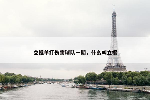 立棍单打伤害球队一期，什么叫立棍