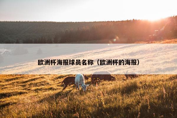 欧洲杯海报球员名称（欧洲杯的海报）