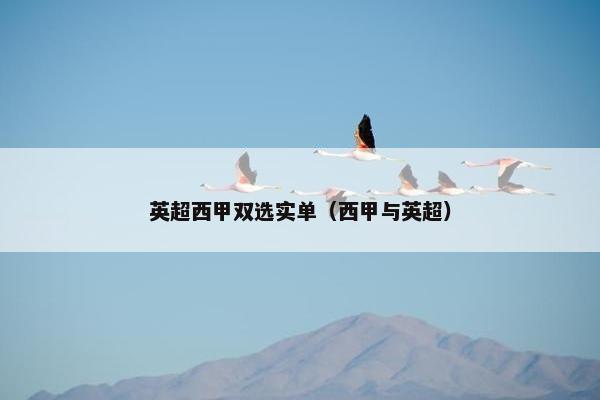 英超西甲双选实单（西甲与英超）
