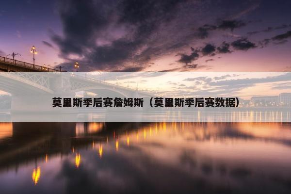 莫里斯季后赛詹姆斯（莫里斯季后赛数据）