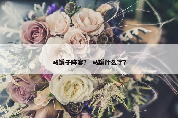 马罐子阵容？ 马罐什么字？