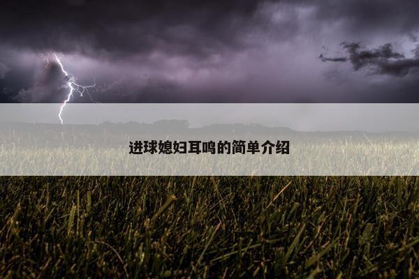 进球媳妇耳鸣的简单介绍